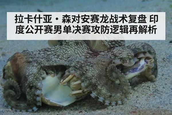 拉卡什亚·森对安赛龙战术复盘 印度公开赛男单决赛攻防逻辑再解析